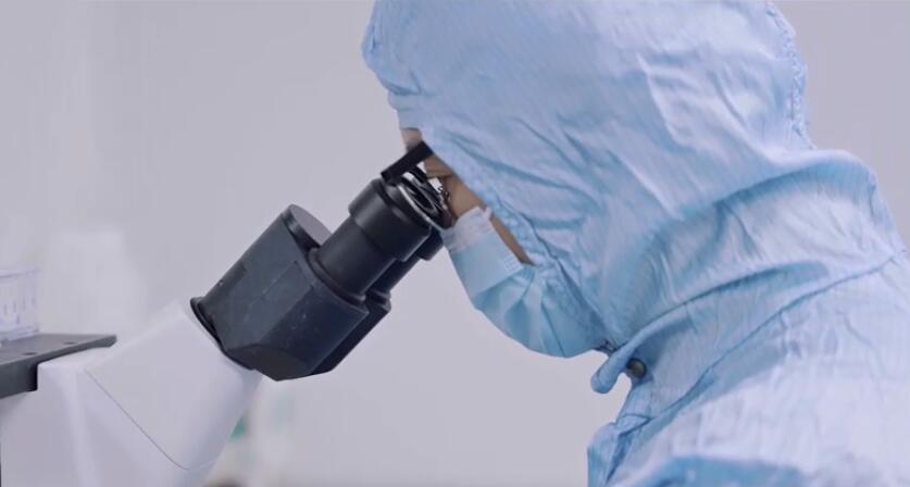 不朽情缘(中国游)最新官网入口